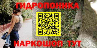 jwh Свободный